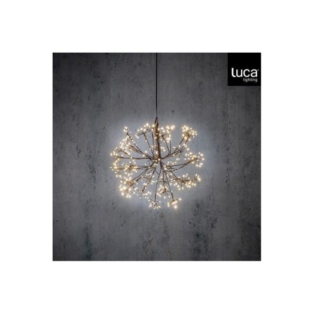 Fleur Lumineuse