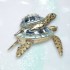 Tortue et Bébé