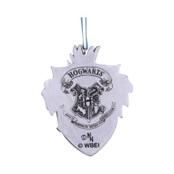 Suspension Ravenclow