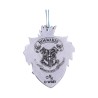 Suspension Ravenclow