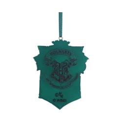 SDuspension Slytherin