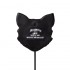 Chat De la Lune Mystique