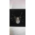 Broche Araignée