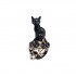 Mini Crâne avec un Chat Noir