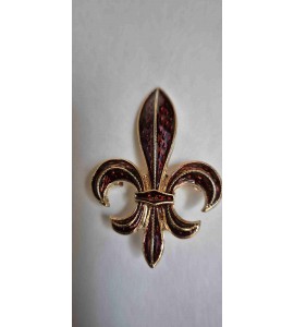 Broche Fleur de Lys