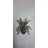 Broche Araignée