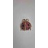 Broche Coccinelle