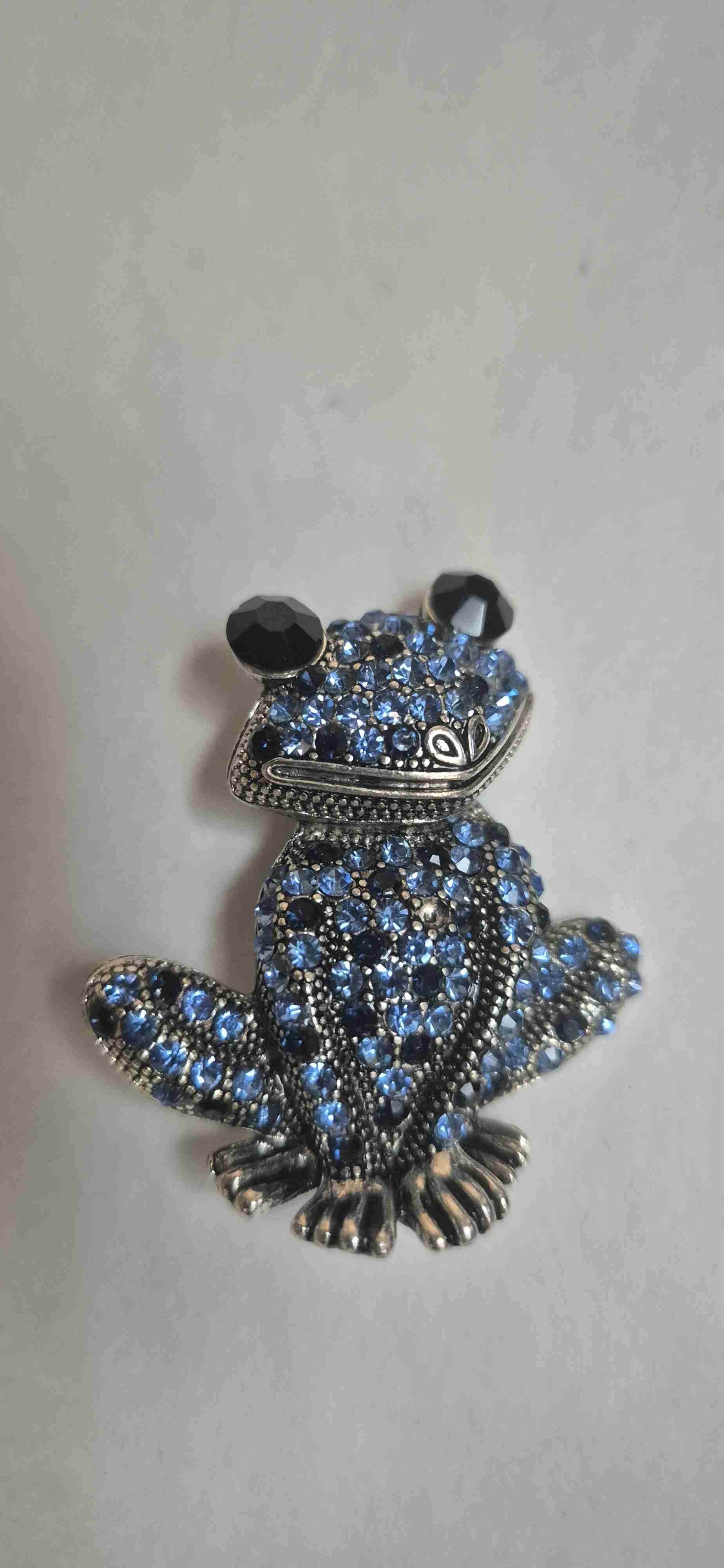 Broche Grenouille En Métal Argenté - Finition Acier Inoxydable - Neuf Sans Emballage - Accessoire Mignon Et Nature