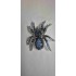 Broche Araignée