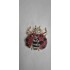 Broche Coccinelle