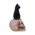 Figurine de Chat