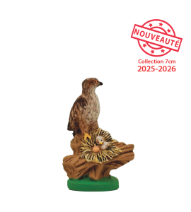 L'Aigle de Bonelli