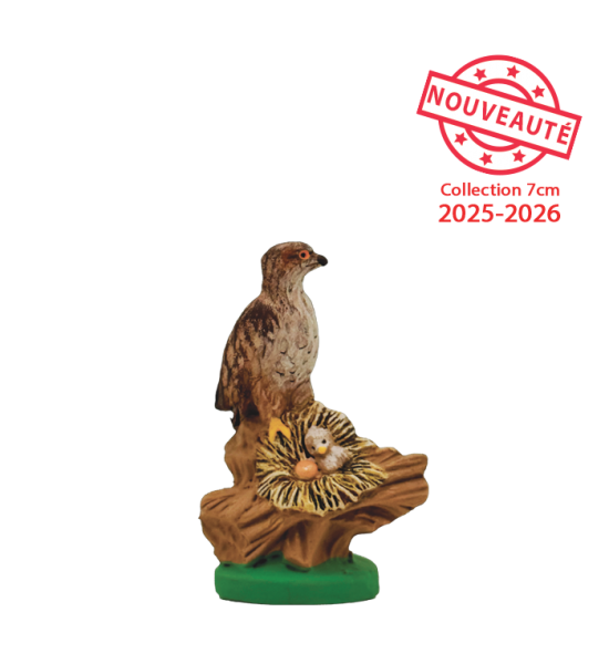 L'Aigle de Bonelli