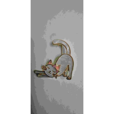 Broche Chat