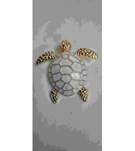 Broche Tortue