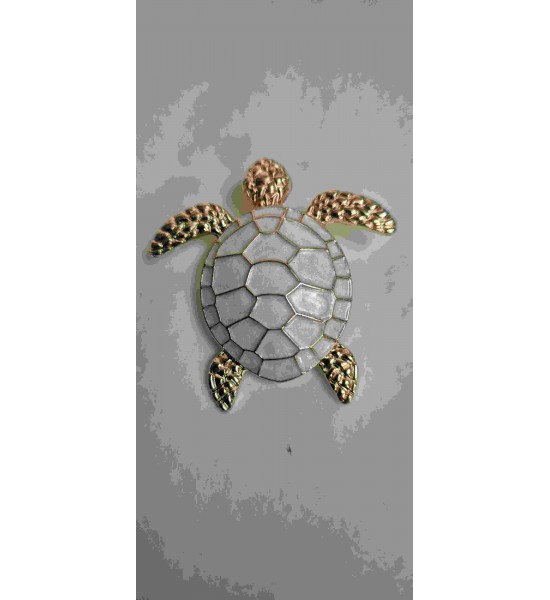 Broche Tortue
