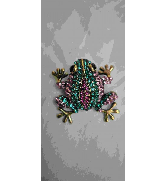 Broche Grenouille