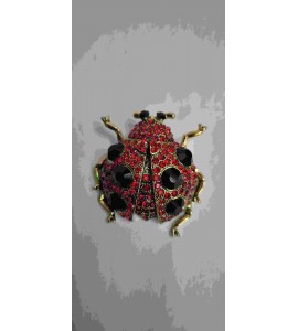 Broche Coccinelle