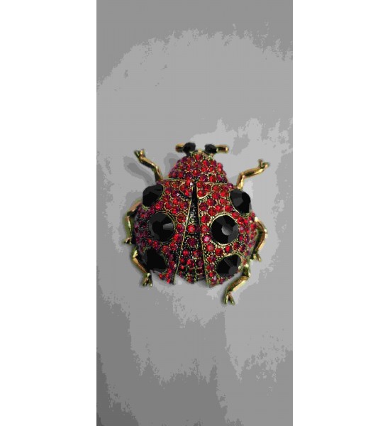 Broche Coccinelle