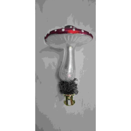 Champignon 