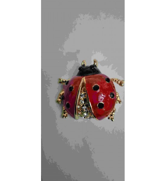 Broche Coccinelle