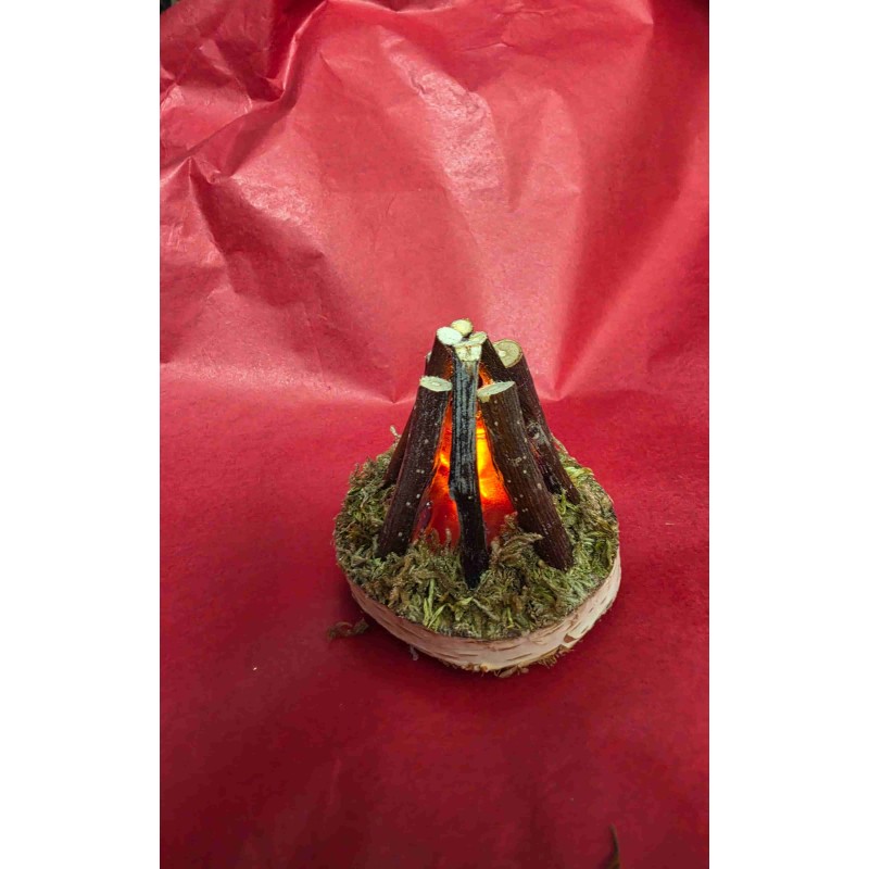 Feu de bois