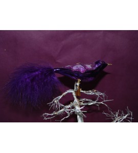 Oiseau violet