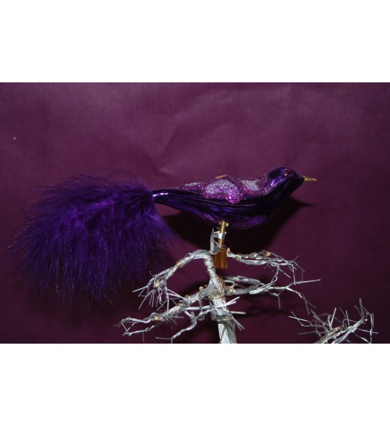 Oiseau violet