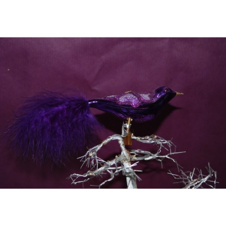 Oiseau violet
