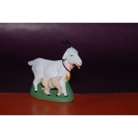 Lachèvre blanche et chevreau