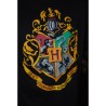 T Shirt Harry Potter