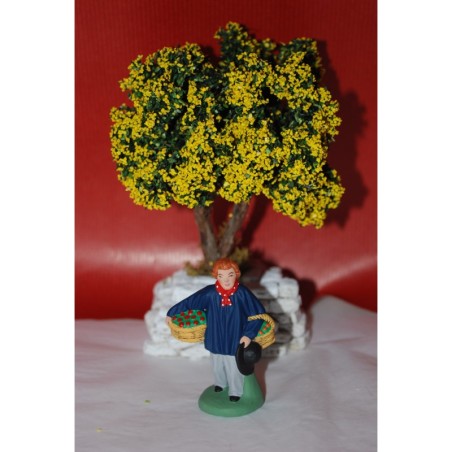 L'Homme aux Fruits