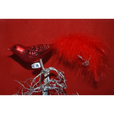 Oiseau Rouge