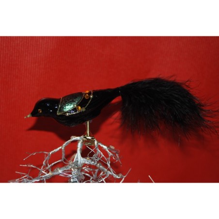 Oiseau Noir et Doré