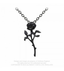 The Romance of The Black Rose