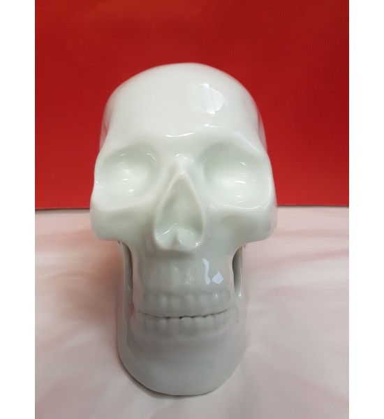 Crâne Blanc en Porcelaine