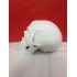 Crâne Blanc en Porcelaine
