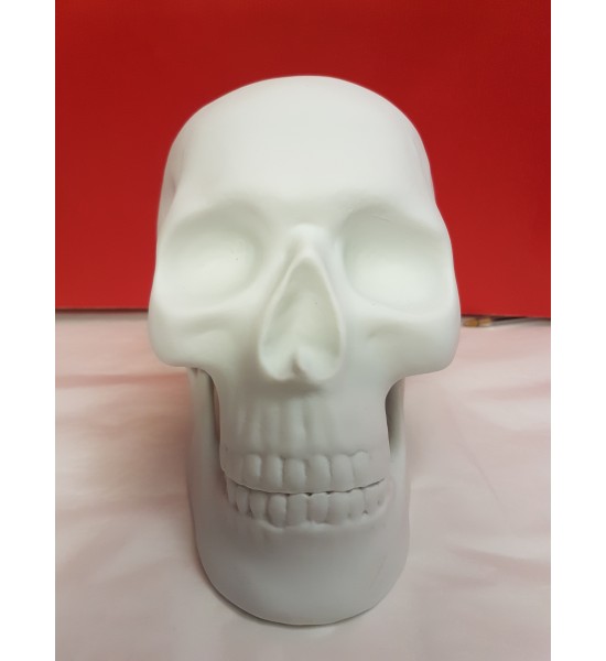 Crâne en Porcelaine Blanc
