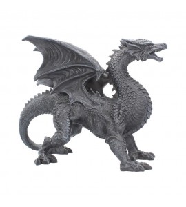 Dragon Watcher