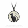 Meow at the Moon