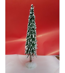 Sapin Enneigé