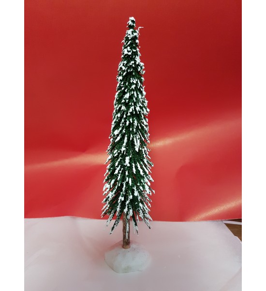 Sapin Enneigé