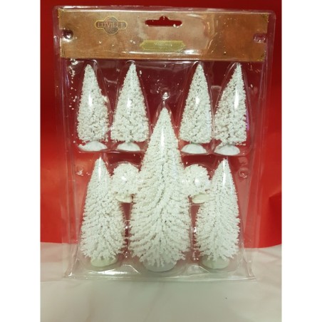 Ensemble de Sapins Blancs