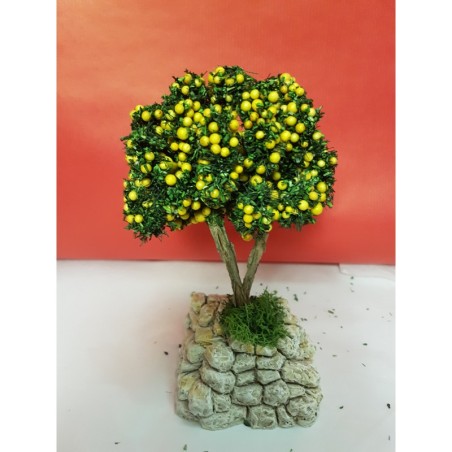 Citronnier