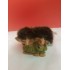 Enfants Trolls