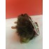 Enfants Trolls