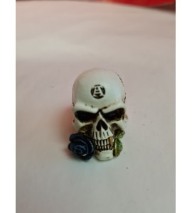 Crâne L'Alchemist Miniature d'Alchemy Gothic