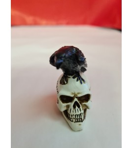 Corbeau sur Crâne Miniature Alchemy Gothic