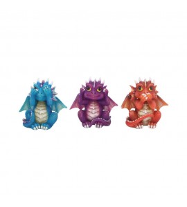 Les Dragonnets de la Sagesse