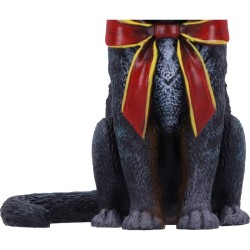 Chat Renne Lisa Parker à Suspendre